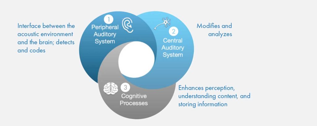 cognivue fundamental processes graphic